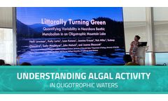 Understanding Algal Activity in Oligotrophic Waters