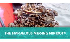 The Marvelous Missing miniDOT®