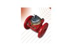 G2 misuratori - Model WELC - Woltmann Flow Sensor Suitable for Heating Purposes