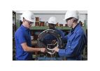 Electrical Balance of Plant and Ancillaries Services