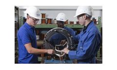 Electrical Balance of Plant and Ancillaries Services