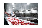 Water treatment solutions for food/beverage industry - Food and Beverage