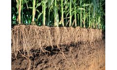 4 Benefits of Using Power-Z Sustainable Soil Additive for Agriculture Companies
