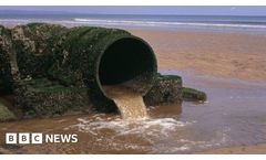 How Can We Prevent Sewage Pollution in the United Kingdom from Worsening?