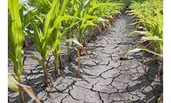 Water Scarcity in Agriculture: A Middle East Perspective