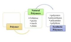 Natural Flocculants versus Synthetic Polymers for Wastewater Treatment: An In Depth Study