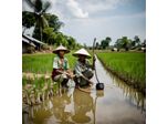 Addressing Water Insecurity in Southeast Asia: Causes & Solutions