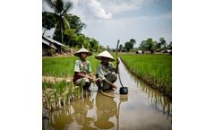 Addressing Water Insecurity in Southeast Asia: Causes & Solutions