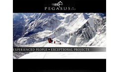 Pegasus TSI Brochure