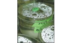 Biotoxicity Sediment Tests