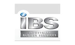 Repair, Servicing & Reconditioning - Roots Type Blowers Services