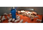 Sprintomat - Wet Feeder for Newly Weaned Pigs