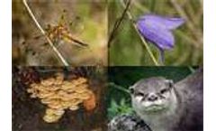 Biodiversity: Facts and figures