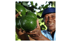 Agroecology a `spectacular` success, says UN expert