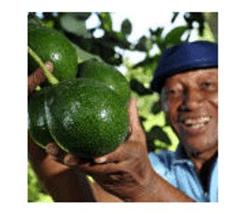 Agroecology a `spectacular` success, says UN expert