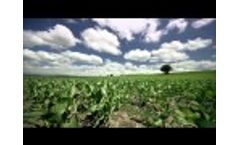AgCelence - BASF Plant Health (short version) Video