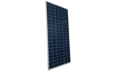 Suntech - Model 120-Cell (275-295W) - Polycrystalline Photovoltaic Module