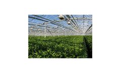 Chlorine Dioxide solutions for greenhouses industry