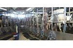 Dairies - Water and Wastewater