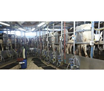 Dairies - Water and Wastewater