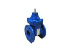 Aeon - Model Type A DN40 – DN300 - Resilient Seated Gate Valve