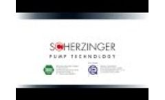 Scherzinger at the International Suppliers Fair (IZB) 2014 in Wolfsburg, Germany - Video