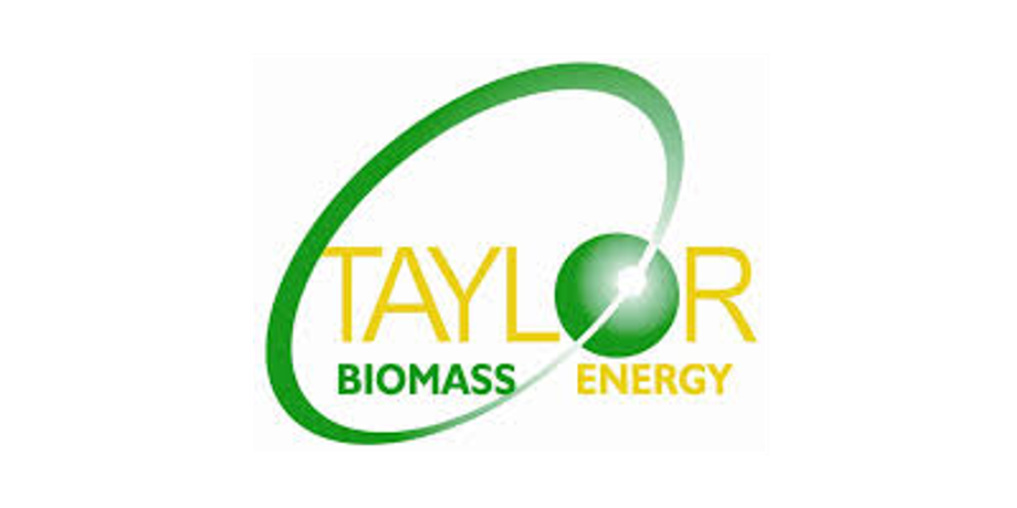 Taylor - Biomass Gasification Process Technology