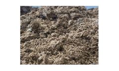 Absorbents and Solidification Media