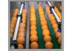 Pennwalt - Fruit Packing and Grading Lines Machine