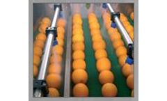 Pennwalt - Fruit Packing and Grading Lines Machine