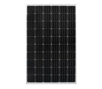 EverExceed - Model 156 - Poly Solar Panel