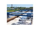 Raw Water & Wastewater Chemical Programs