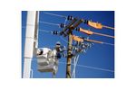 Environmental solutions for the utilities & electrical transmission sector - Energy - Power Distribution