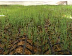 GEOWEB Geocells Combined With A Turf Reinforcement Mat (TRM)