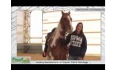 Indoor Riding Arena at Blush Acres by ClearSpan Fabric Structures Video