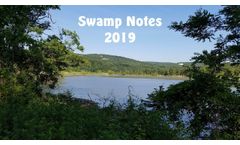 Swamp Notes Vol.19 Ep. 8 - Video