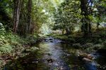 Stream Restoration Part 3 - Stream Ecology Stream Training Courses