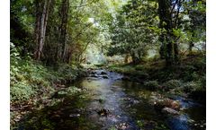 Stream Restoration Part 3 - Stream Ecology Stream Training Courses