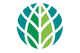 World Bioenergy Association (WBA)