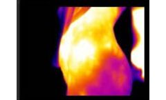 Thermographic Equipment for Medical and Veterinary Applications