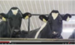 Rosendale Dairy Biodigester: A UW-Oshkosh, MilkSource, BIOFerm partnership in renewable energy, sustainability