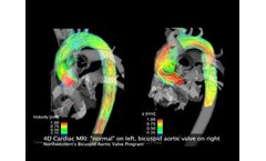 Advancements in Blood Flow and Medical Imaging Clinical Medicine and Surgical Equipment