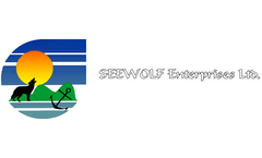 Seewolf - Services