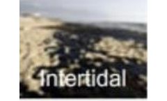 Biological Enzyme for Intertidal