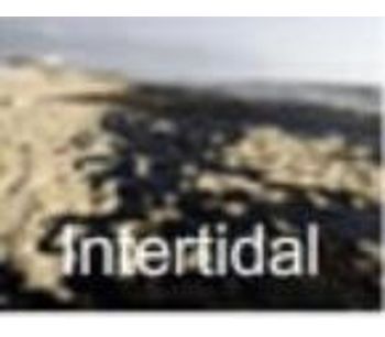 Biological Enzyme for Intertidal - Environmental