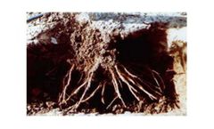 Aqua Sorb - Soil Moist Polymer for Soil Hydration and Retention