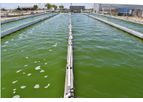 Viridos - Algae Biofuel Technology