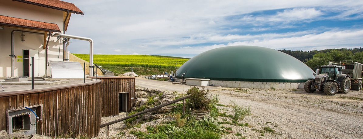 Biogas Plant Analysis, Assessment and Emergency Services