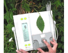 The AM350 leaf area meter in use.