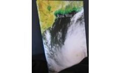Risk Wise Book